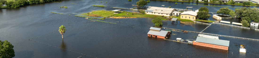 Pasture flooded from natural disaster.